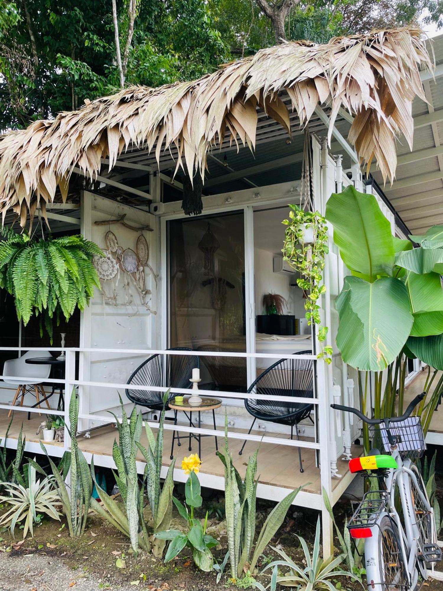 Casa Luce Bed and Breakfast Puerto Viejo de Talamanca Buitenkant foto