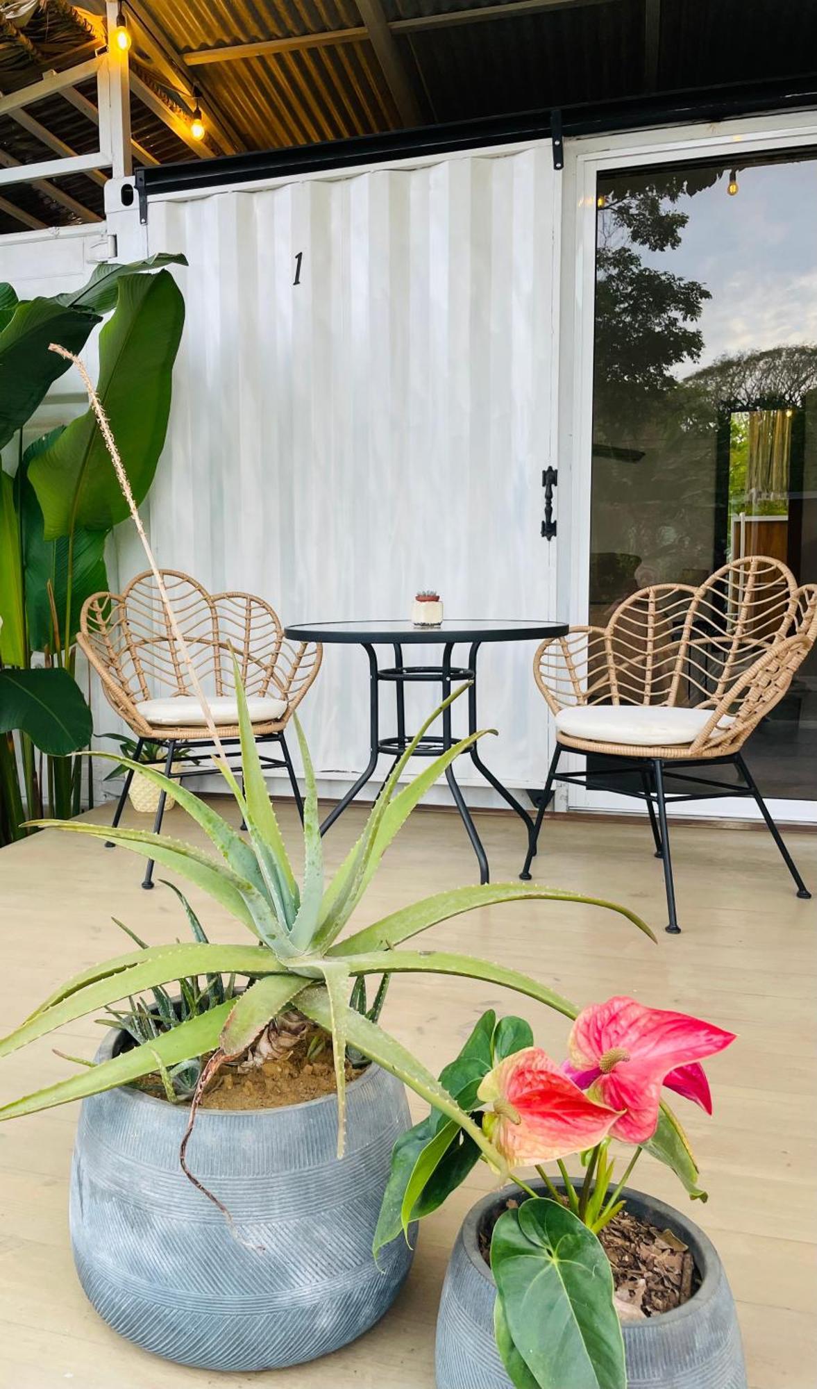 Casa Luce Bed and Breakfast Puerto Viejo de Talamanca Buitenkant foto